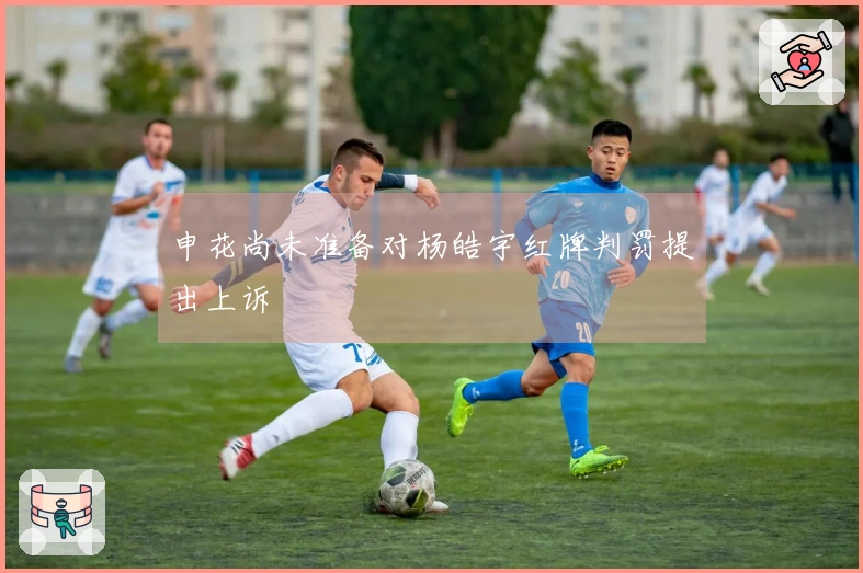 申花尚未准备对杨皓宇红牌判罚提出上诉